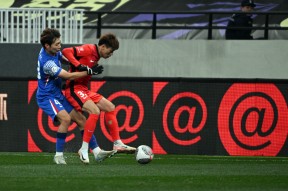 肤浅关系周敛深舒菀-南宫网页